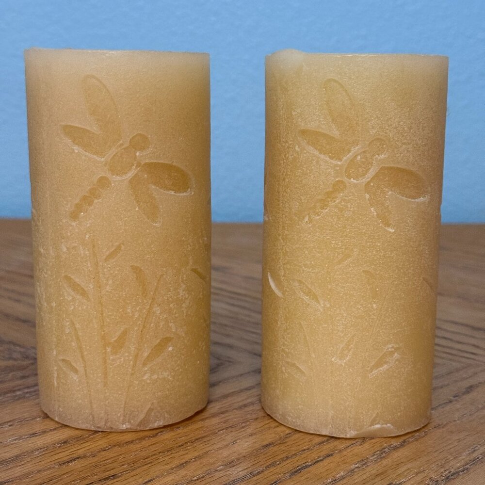 Set of 2 Pier 1 Imports Dragonfly Floral Etched Decorative Pillar Candles